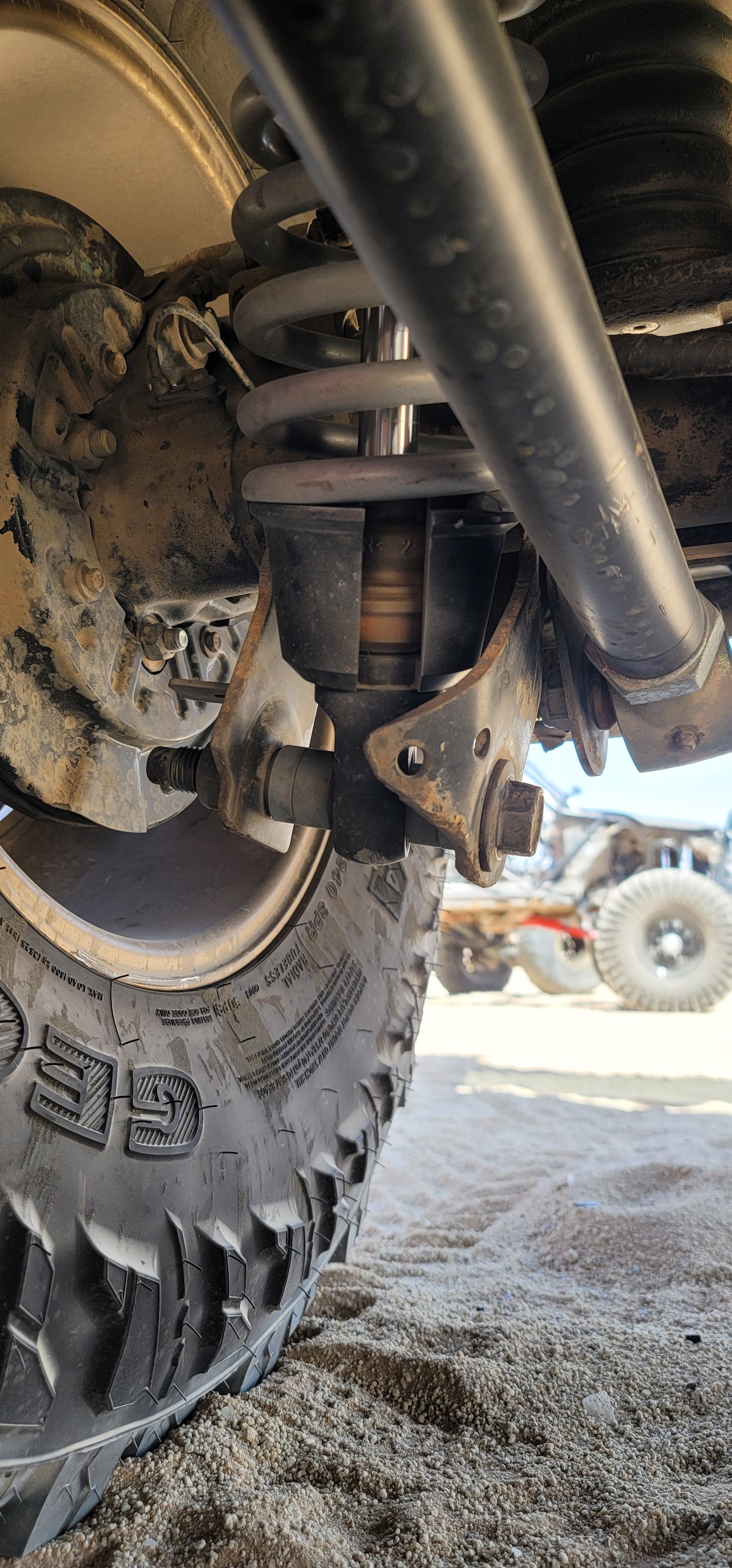 Rear shock skids